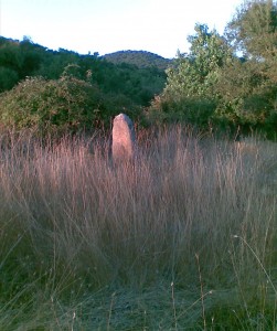menhir bidu single 2009